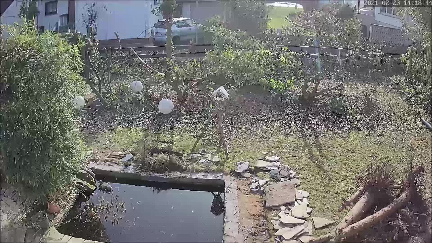 Gartenprojekt