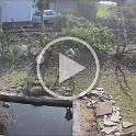 Gartenprojekt