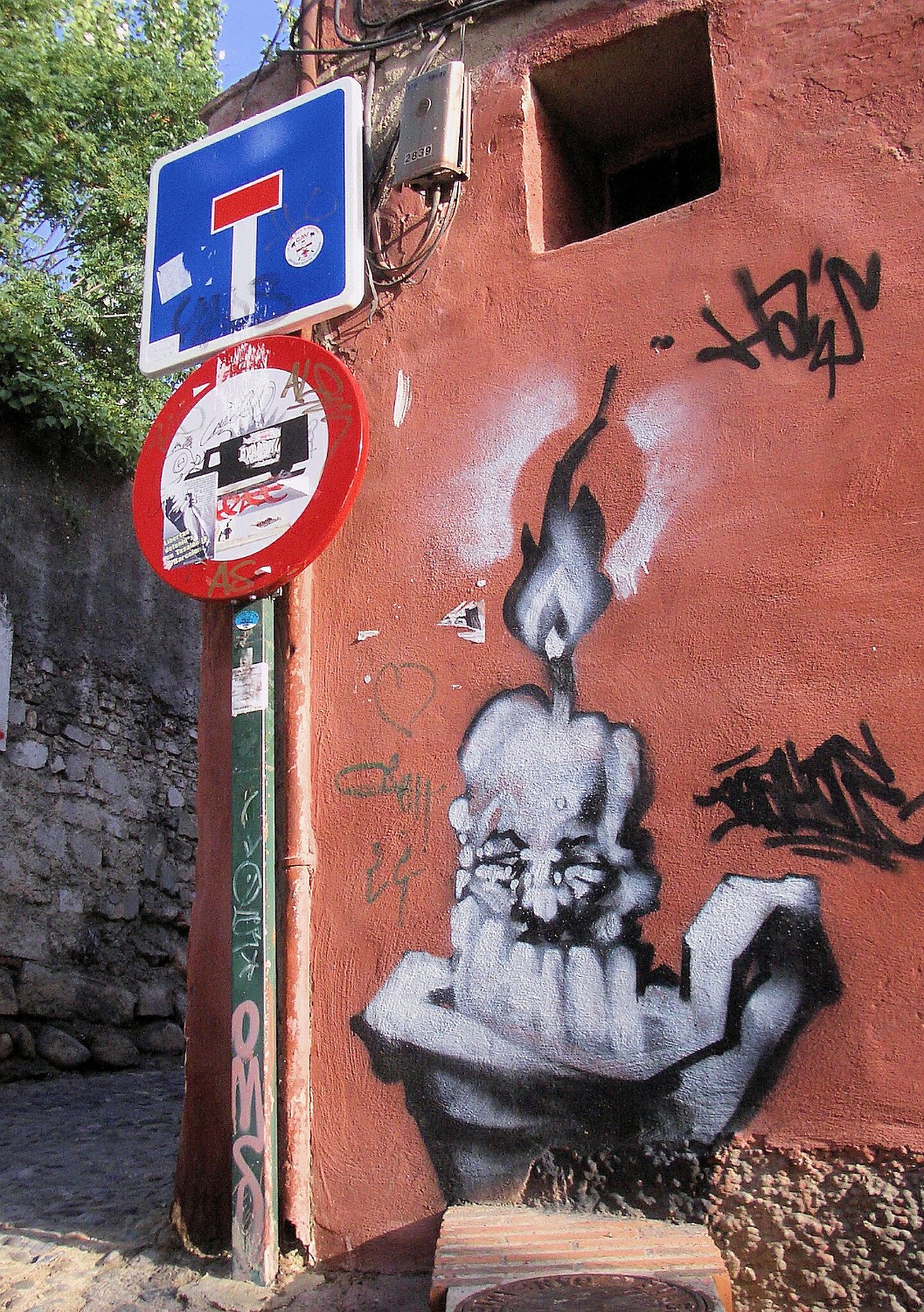 IMGP5586