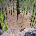 2012 La Palma