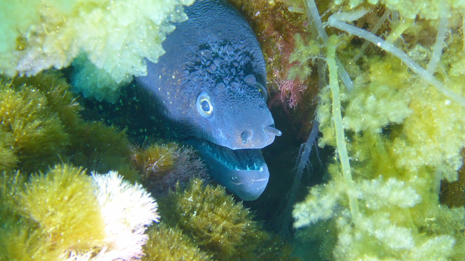 P1040232