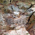 IMG 6596