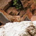IMG 6648