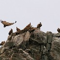 IMG 6753