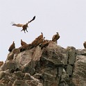 IMG 6755