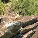 IMG 6861
