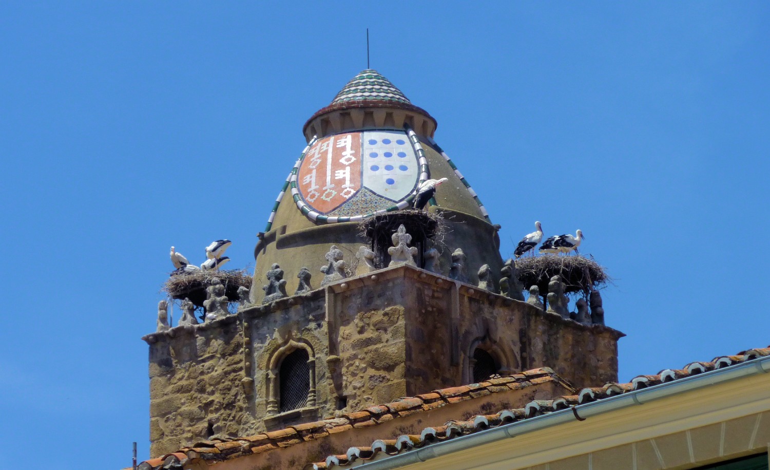 P1050637