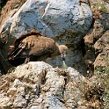 IMG 8835