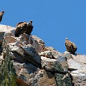 IMG 9032