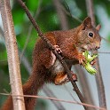 IMG 9275