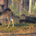 2015 Natur