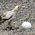 IMG 8857