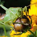 20160627 084357 1
