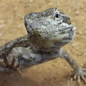 20160821 173645 1