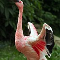 IMG 3417