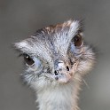 IMG 4176