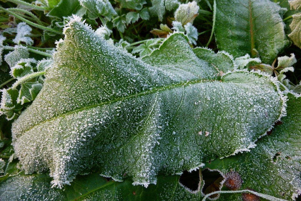 P1060792