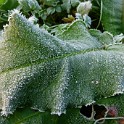 P1060792
