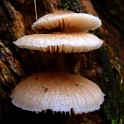 Herbst 2012