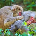 IMG 9739