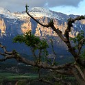 IMG 0984