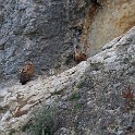 IMG 1739