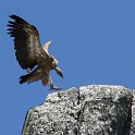 IMG 5530
