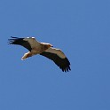 IMG 5600