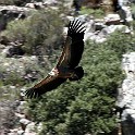 IMG 5759
