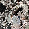 IMG 5813
