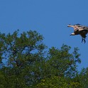 IMG 5829
