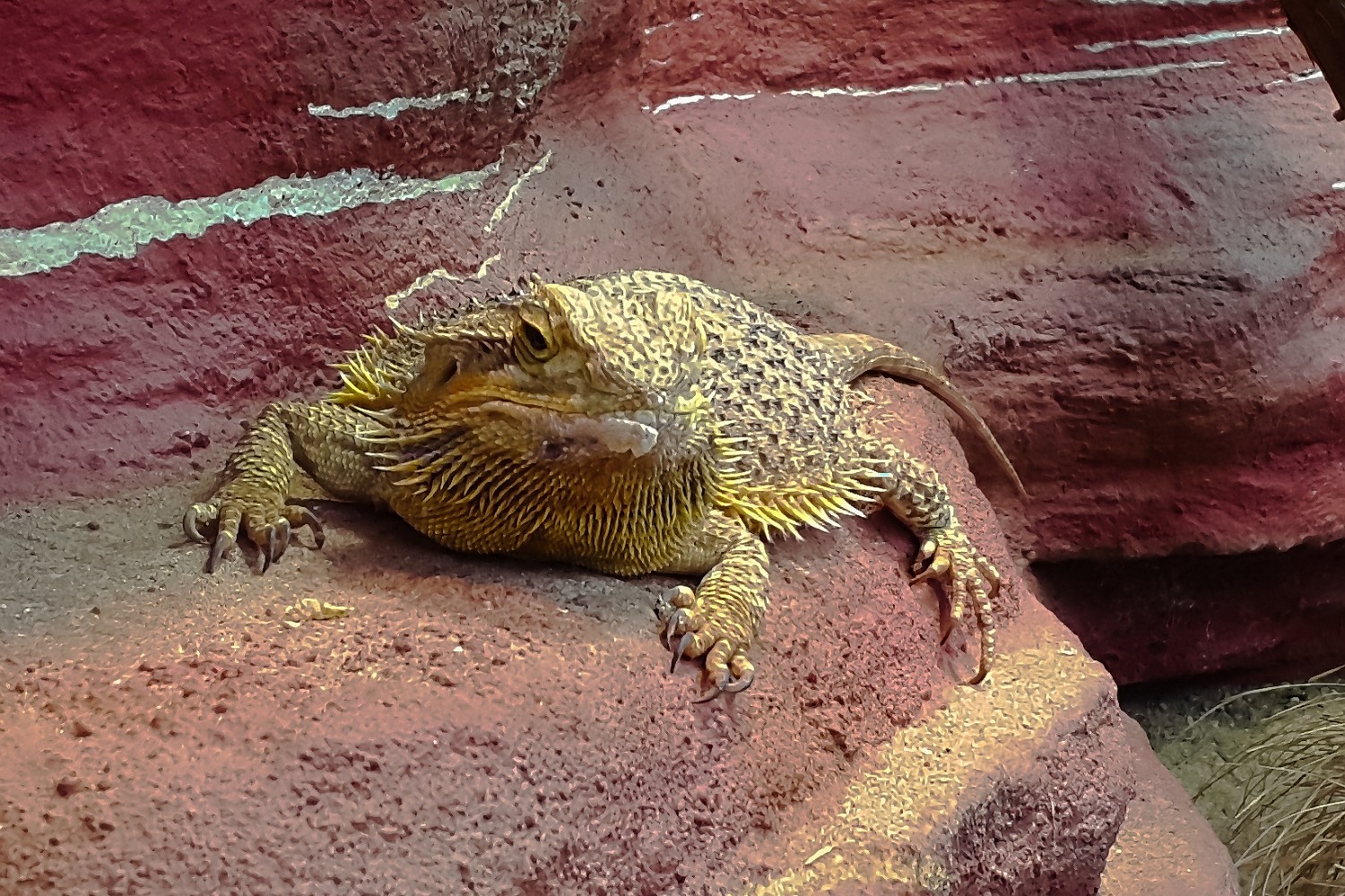 20150731 181354-2