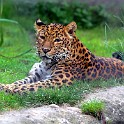 IMG 0045