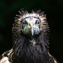 IMG 9235