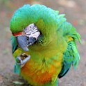 IMG 4153