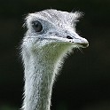 IMG 8195