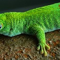 IMG 8253