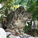 Zoo Karlsruhe