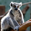 Zoo Muenchen