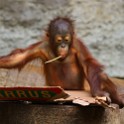 Zoo Muenster