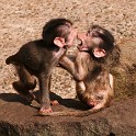 Zoo Neuenkirchen