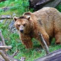 Zoo Salzburg