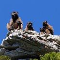 IMG 2757
