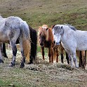 IMG 2285