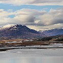 IMG 2318
