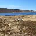 IMG 2351