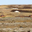 IMG 2523