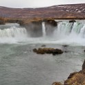 IMG 2541