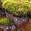 IMG 2570 68 69