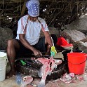 IMG 0354 1